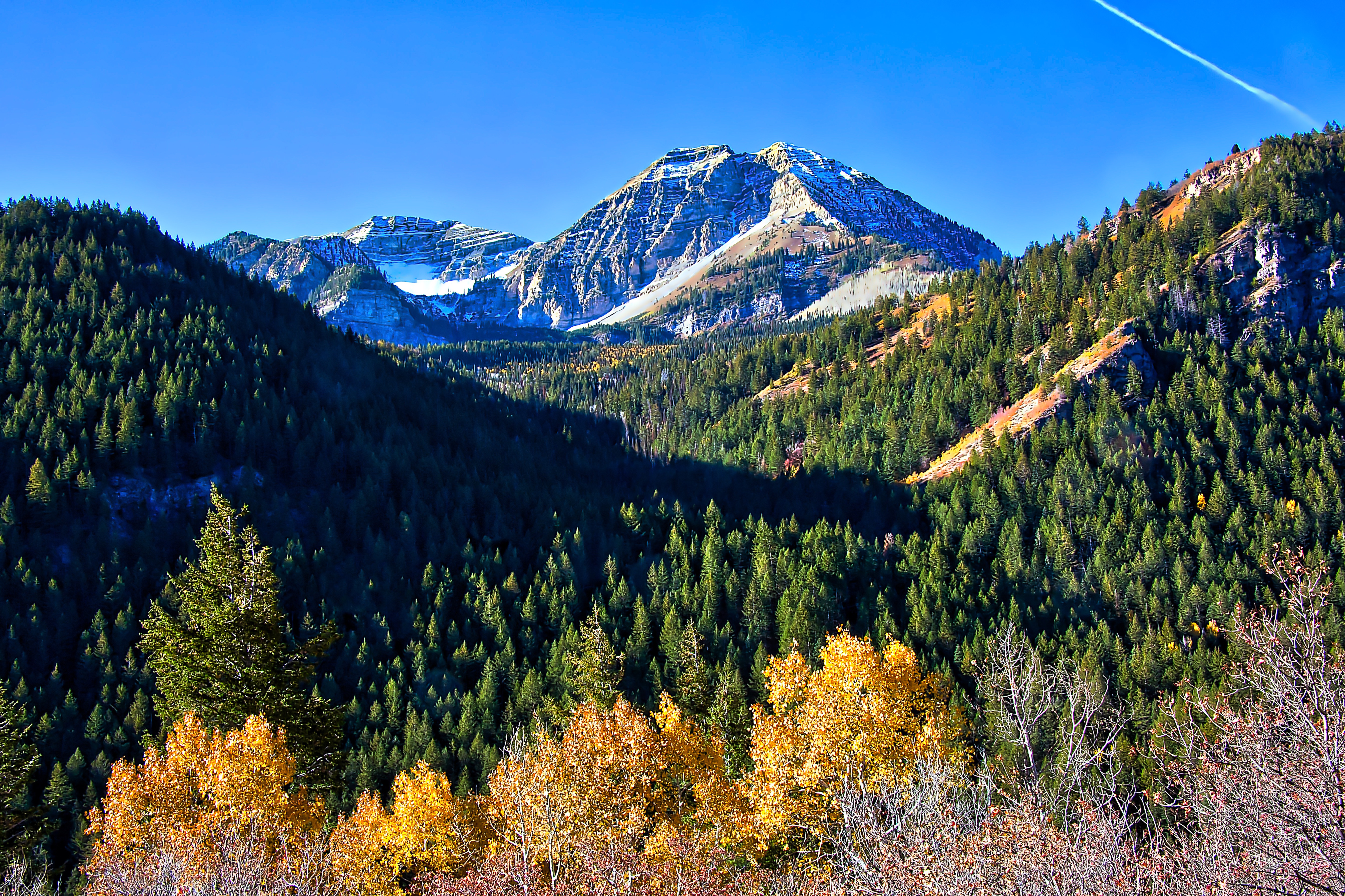 Alpine Loop View-Quick Preset.jpg